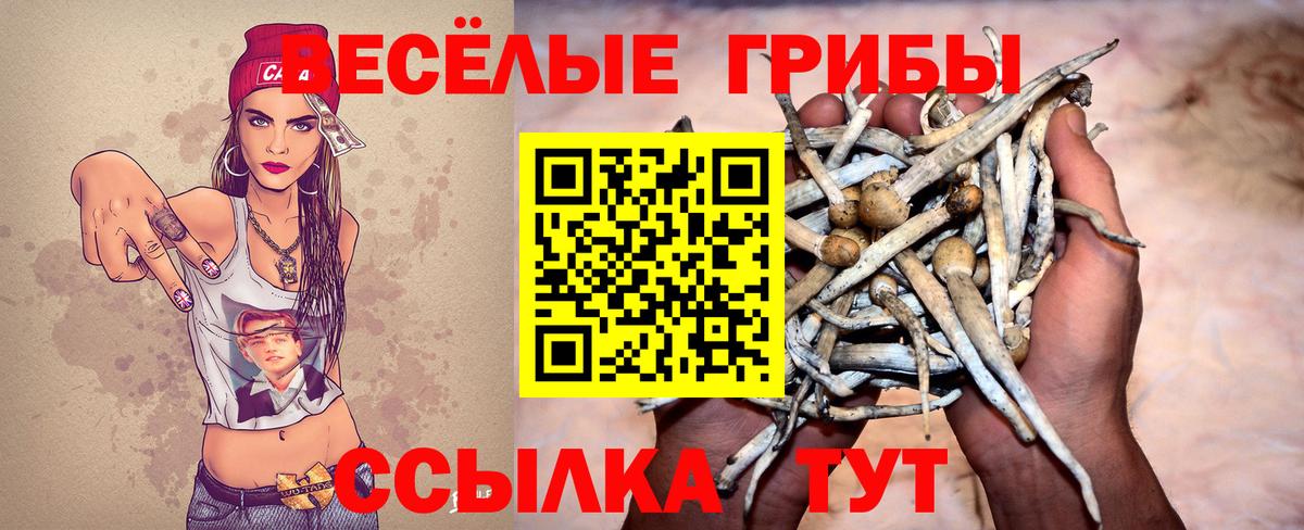 Майский  Галлюциногенные грибы MAGIC MUSHROOMS  Вход с VPN  Псилоцибиновые грибы мухоморы 