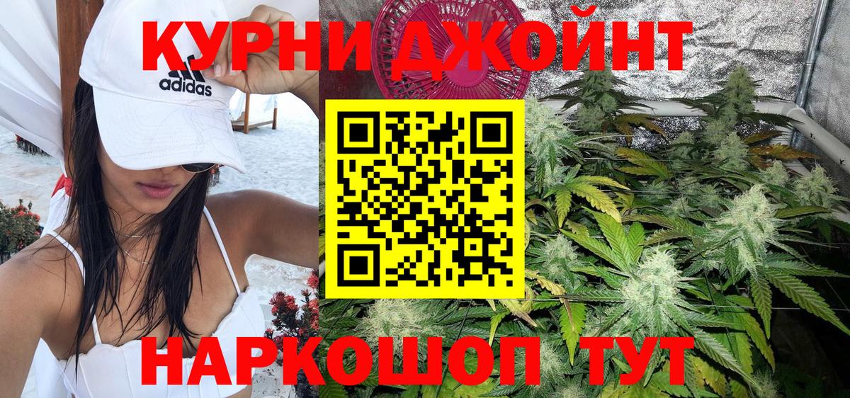 Каннабис семена  Вход с VPN  Майский  Бошки марихуана VHQ  Марихуана White Widow 